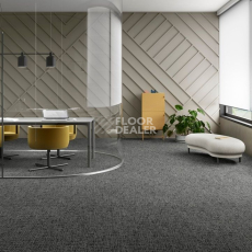 IVC Balanced Hues Коллекция Balanced Hues Balanced Hues 989 фото 2 | FLOORDEALER